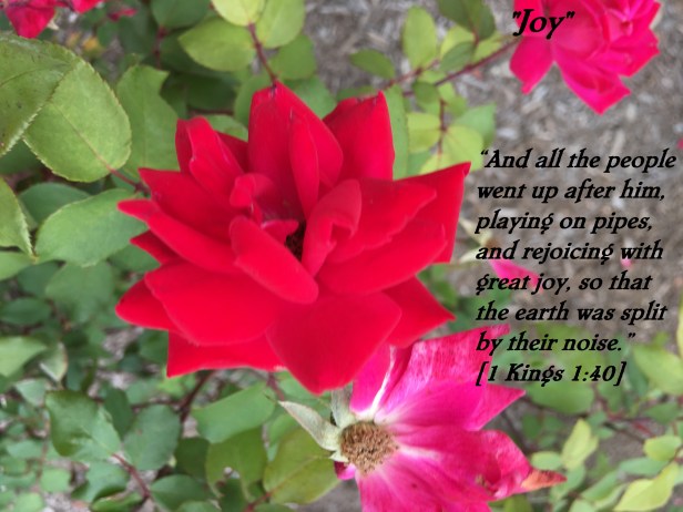 © Photo Artist Susan Ruth Robertson 090025006100 apple phone (67).JPG