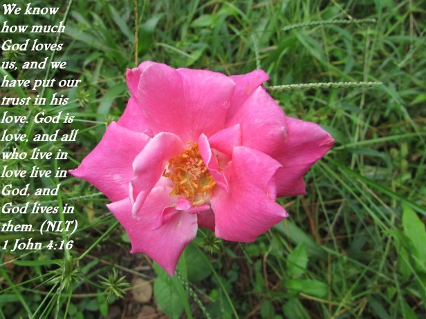 © Photo Artist Susan Ruth Robertson 090025006100 SX 400 IS (11).JPG