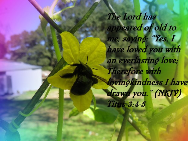 © Photo Artist Susan Ruth Robertson 090025006100 SX 400 IS (30).JPG