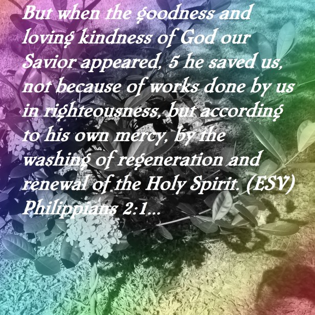 © Photo Artist Susan Ruth Robertson 090025006100 SX 400 IS (50) - Copy.JPG