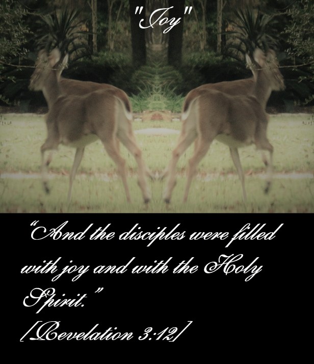 IMG_0200 - Copy (2).JPG