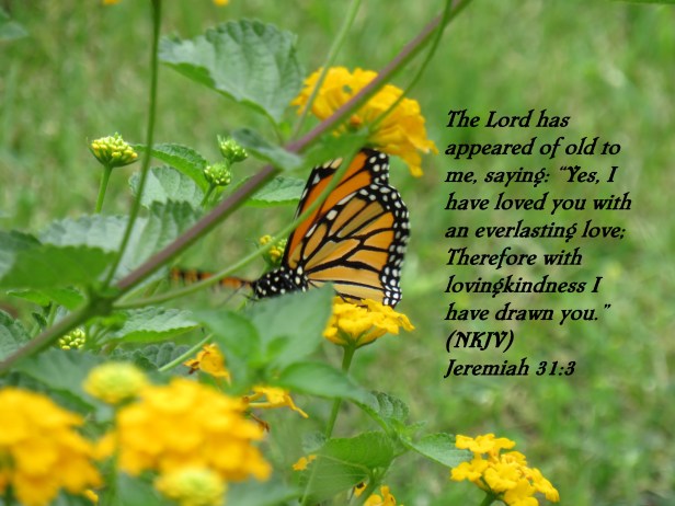 IMG_3337 - Copy (2).JPG