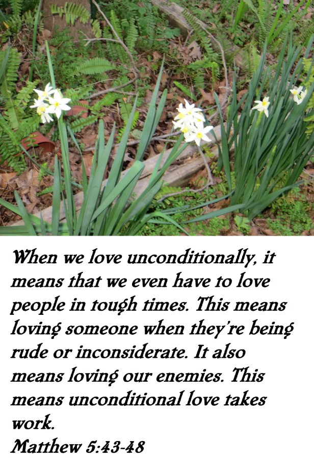 Photo Artist Susan Robertson (1).JPG