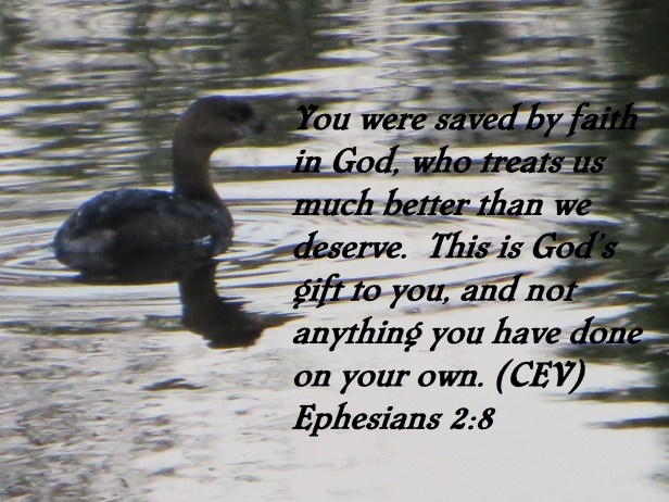 Photo Artist Susan Robertson (15).JPG