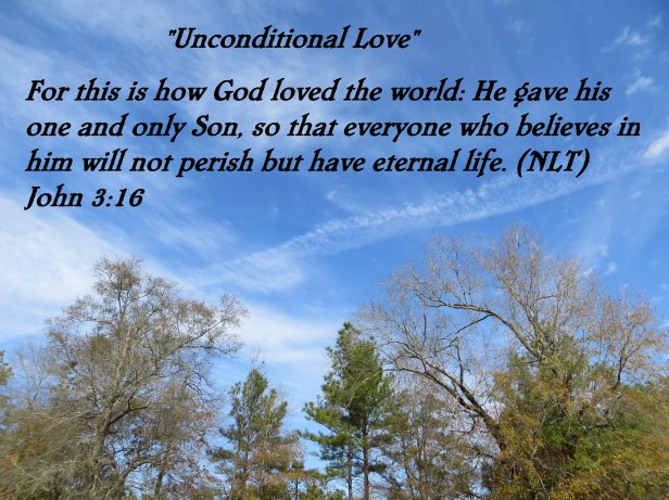 Photo Artist Susan Robertson (4).JPG