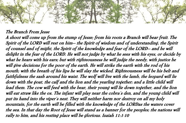 © Photo Artist Susan Ruth Robertson 090025006100 apple phone (15)