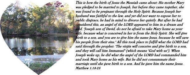 © Photo Artist Susan Ruth Robertson 090025006100 SX 540HS (13) - Copy.JPG