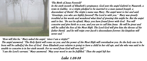 Photo Artist Susan Robertson (4).JPG