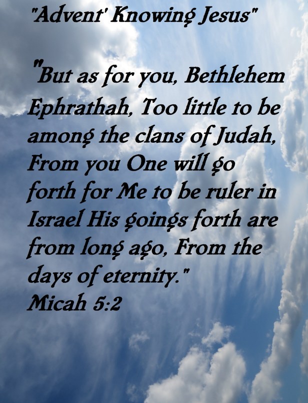 Photo Artist Susan Robertson (5) - Copy - Copy - Copy.JPG