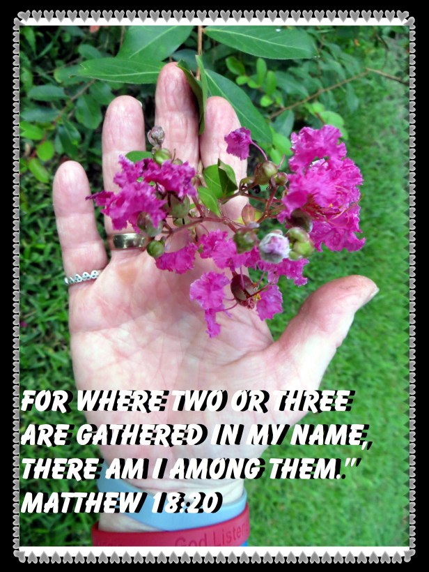 .© Photo Artist Susan Ruth RobertsonIMG_1763 (5).JPG