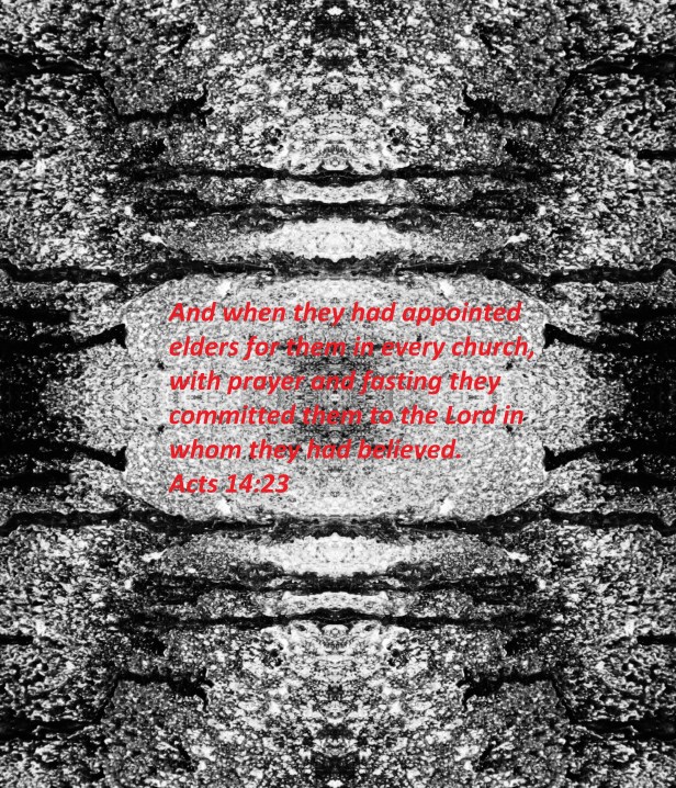 © Photo Artist Susan Ruth Robertson 090025006100 SX 400 (21) - Copy.JPG
