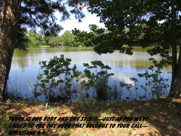 © Photo Artist Susan Ruth Robertson 090025006100 SX 400 IS (10) - Copy.JPG