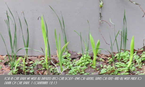 © Photo Artist Susan Ruth Robertson 090025006100 SX 400 IS (14).JPG