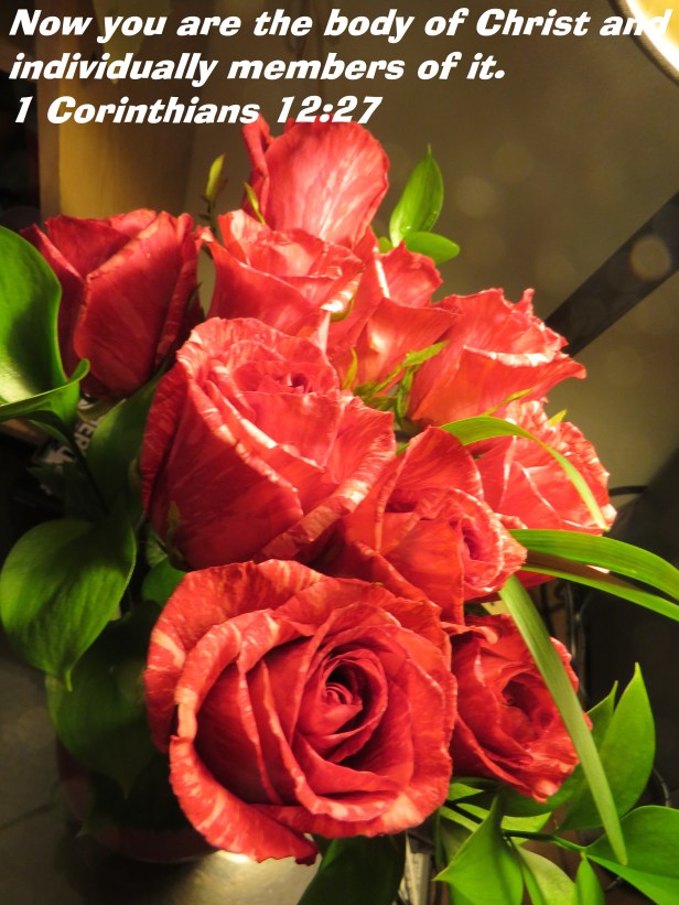 © Photo Artist Susan Ruth Robertson 090025006100 SX 540 HS  (2) - Copy.JPG