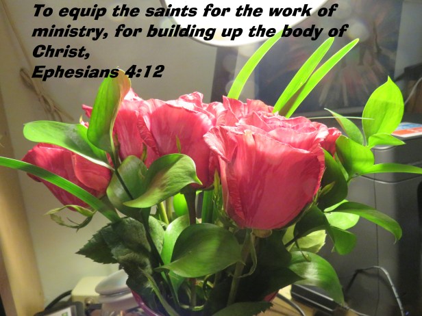 © Photo Artist Susan Ruth Robertson 090025006100 SX 540 HS  (3).JPG