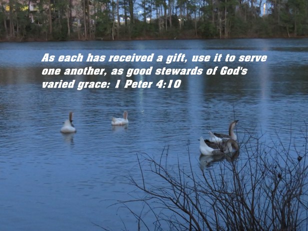 IMG_2022 - Copy.JPG