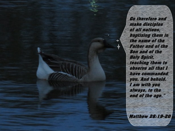 IMG_2049 - Copy.JPG