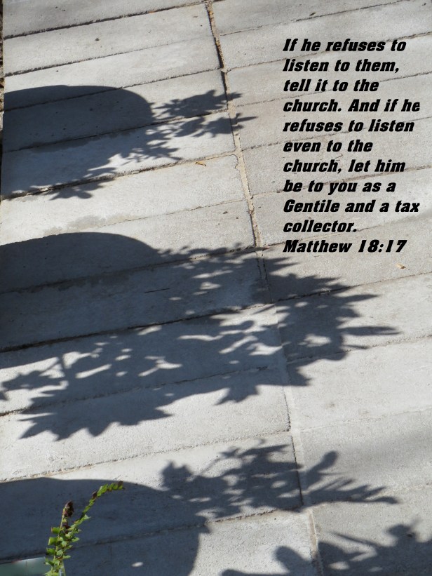 © Photo Artist Susan Ruth Robertson 090025006100 SX 400  (4).JPG