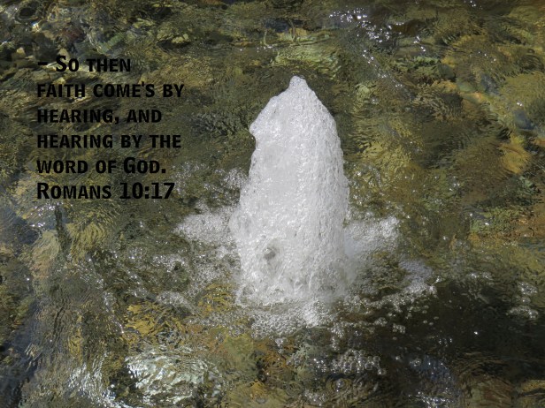© Photo Artist Susan Ruth Robertson 090025006100 SX 400 IS (68).JPG