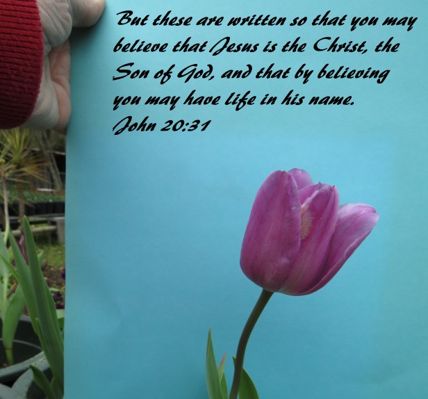 © Photo Artist Susan Ruth Robertson 090025006100 SX 400 IS (83).JPG