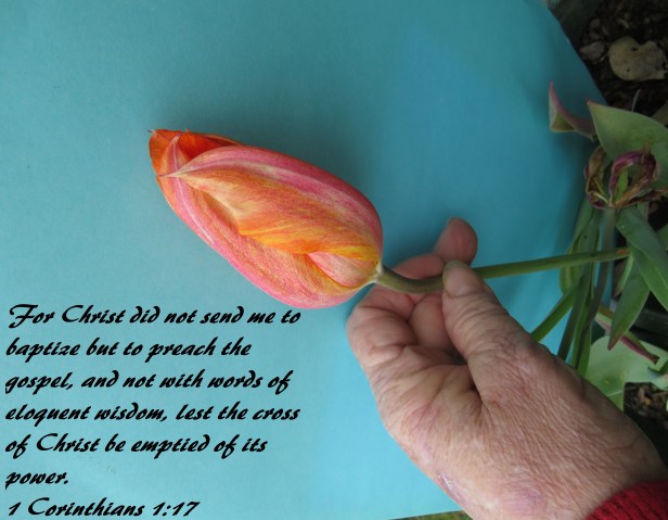 © Photo Artist Susan Ruth Robertson 090025006100 SX 400 IS (86).JPG