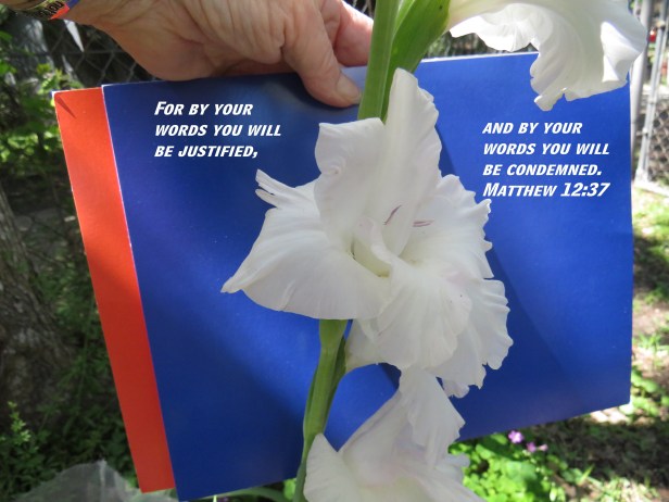 © Photo Artist Susan Ruth Robertson 090025006100 SX 400 (25) - Copy.JPG