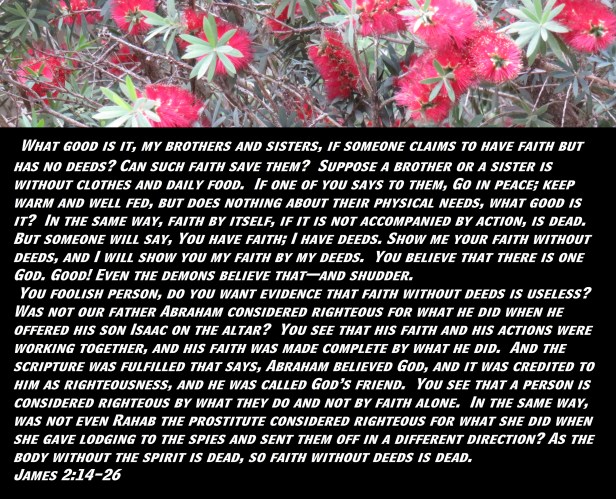© Photo Artist Susan Ruth Robertson 090025006100 SX 400 (51) - Copy - Copy.JPG
