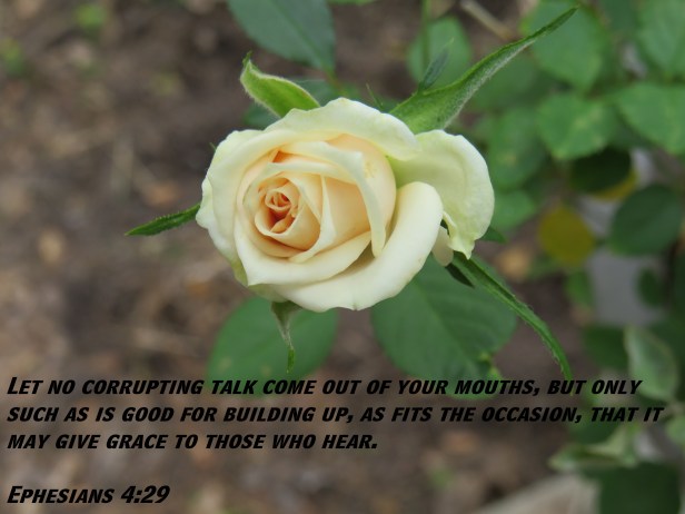 © Photo Artist Susan Ruth Robertson 090025006100 SX 400 IS (102).JPG