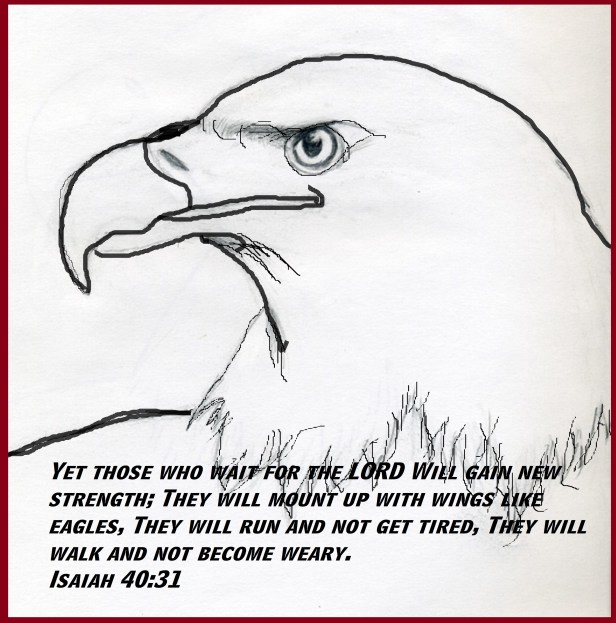 © Photo Artist Susan Ruth Robertson 090025006100 SX 400 (2).jpg