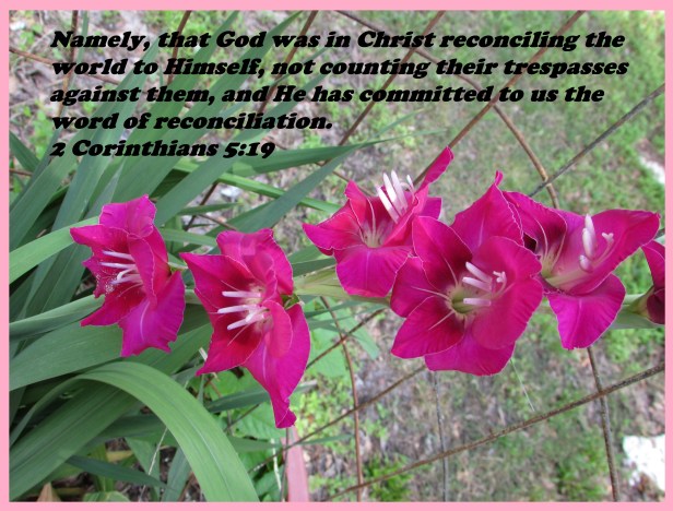 © Photo Artist Susan Ruth Robertson 090025006100 SX 400 (32) - Copy.JPG