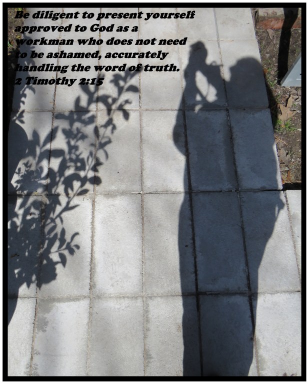 © Photo Artist Susan Ruth Robertson 090025006100 SX 400 (5) - Copy.JPG