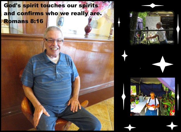 © Photo Artist Susan Ruth Robertson 090025006100 SX 400 (148).JPG