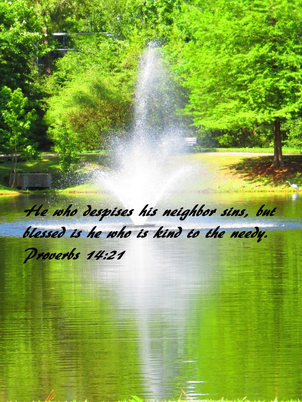 © Photo Artist Susan Ruth Robertson 090025006100 SX 400 (24) - Copy.JPG