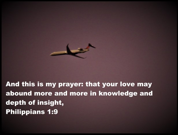 © Photo Artist Susan Ruth Robertson 090025006100 SX 400 (95) - Copy.JPG