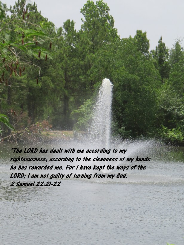 © Photo Artist Susan Ruth Robertson 090025006100 SX 540 HS (62) - Copy.JPG