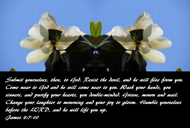 IMG_3025 - Copy (2) - Copy - Copy.JPG