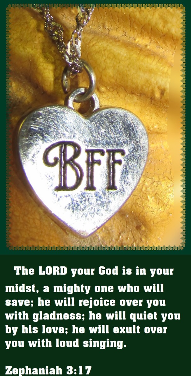 © Photo Artist Susan Ruth Robertson 090025006100 SX 540HS (12) - Copy.JPG