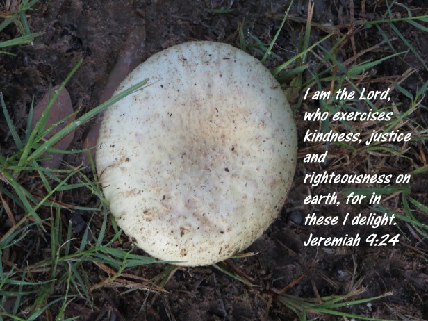 © Photo Artist Susan Ruth Robertson 090025006100 SX 540HS  (12) - Copy.JPG