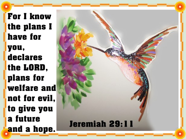 © Photo Artist Susan Ruth Robertson 090025006100 SX 540HS  (17) - Copy - Copy.JPG