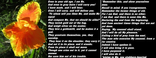 © Photo Artist Susan Ruth Robertson 090025006100 SX 540HS (18) - Copy.JPG