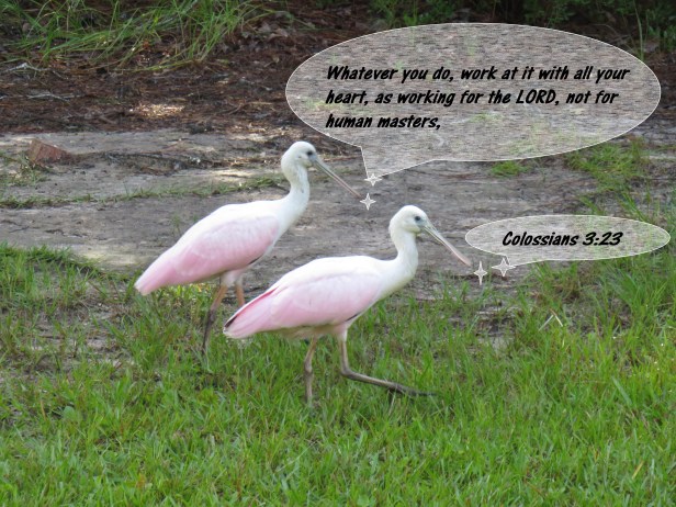 © Photo Artist Susan Ruth Robertson 090025006100 SX 540HS  (59) - Copy.JPG