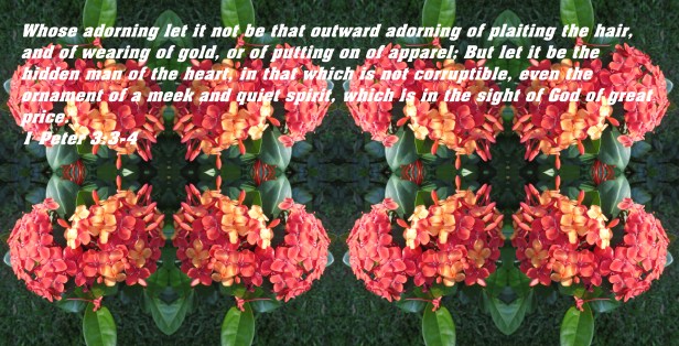 © Photo Artist Susan Ruth Robertson 090025006100 SX 540HS (75) - Copy.JPG