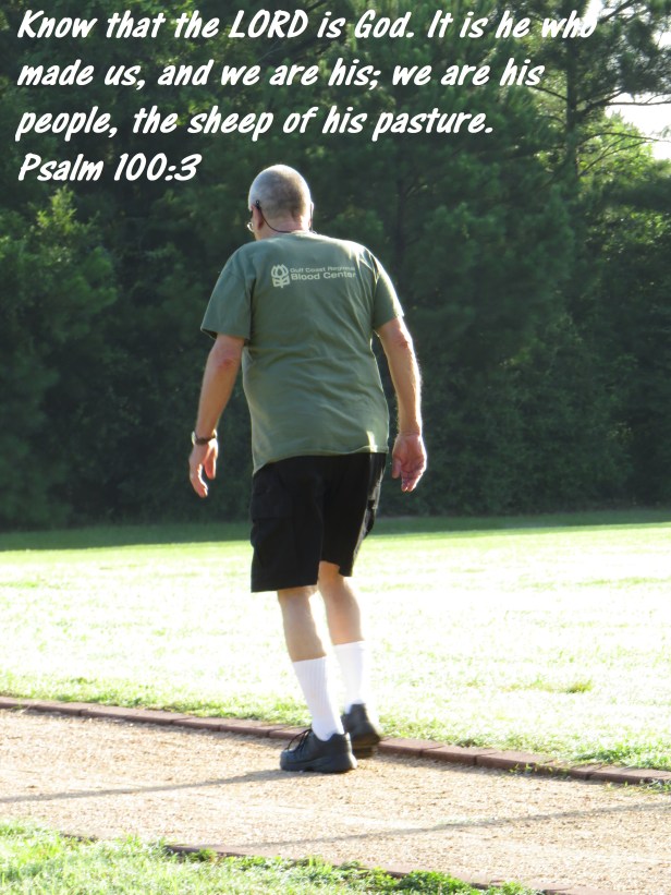 © Photo Artist Susan Ruth Robertson 090025006100 SX 540HS  (8) - Copy.JPG