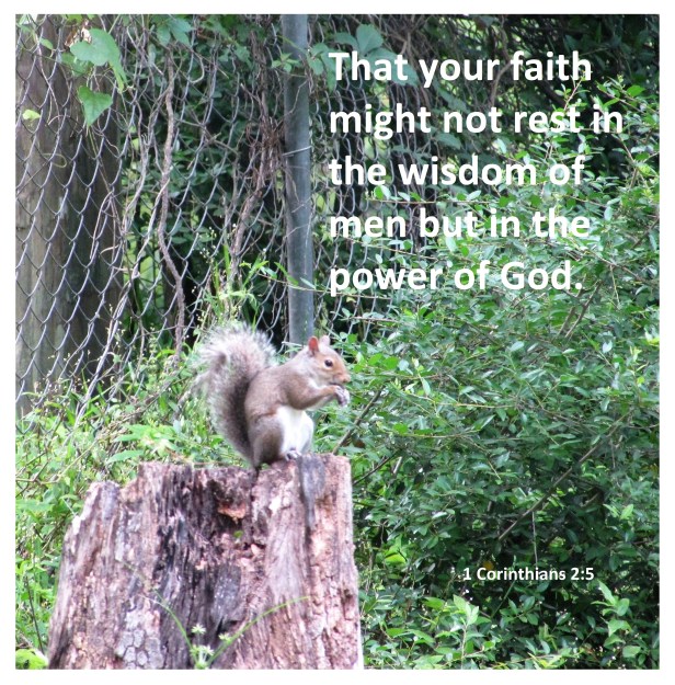 © Photo Artist Susan ruth Robertson 09002500100 002.JPG