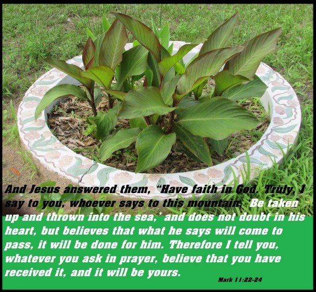 © Photo Artist Susan ruth Robertson 09002500100 011 - Copy.JPG