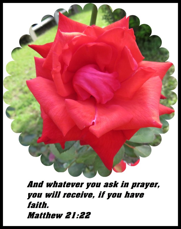 © Photo Artist Susan Ruth Robertson 090025006100 SX 400 (8) - Copy.JPG