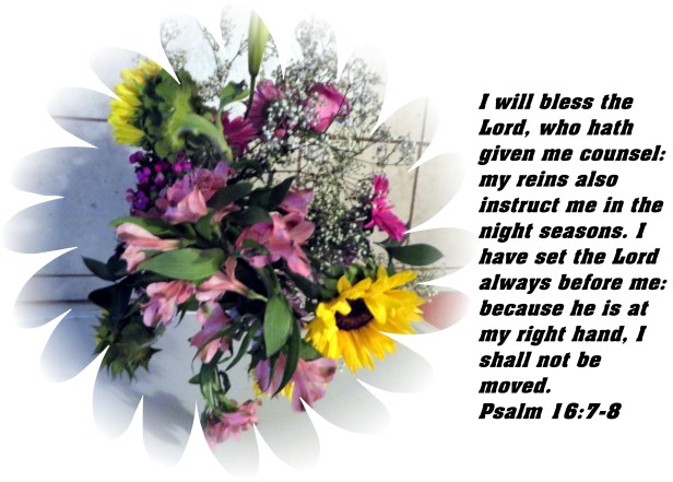 © Photo Artist Susan Ruth Robertson 090025006100 SX 540HS  (23) - Copy.JPG