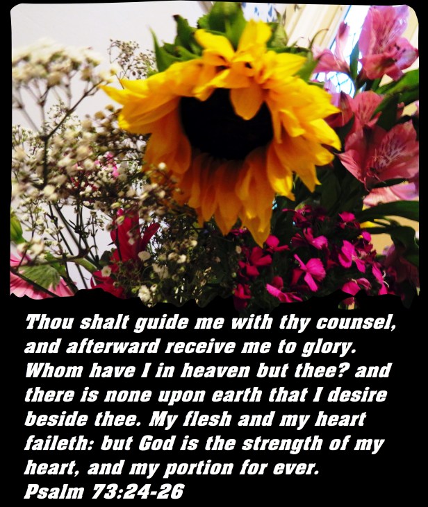 © Photo Artist Susan Ruth Robertson 090025006100 SX 540HS (27) - Copy.JPG