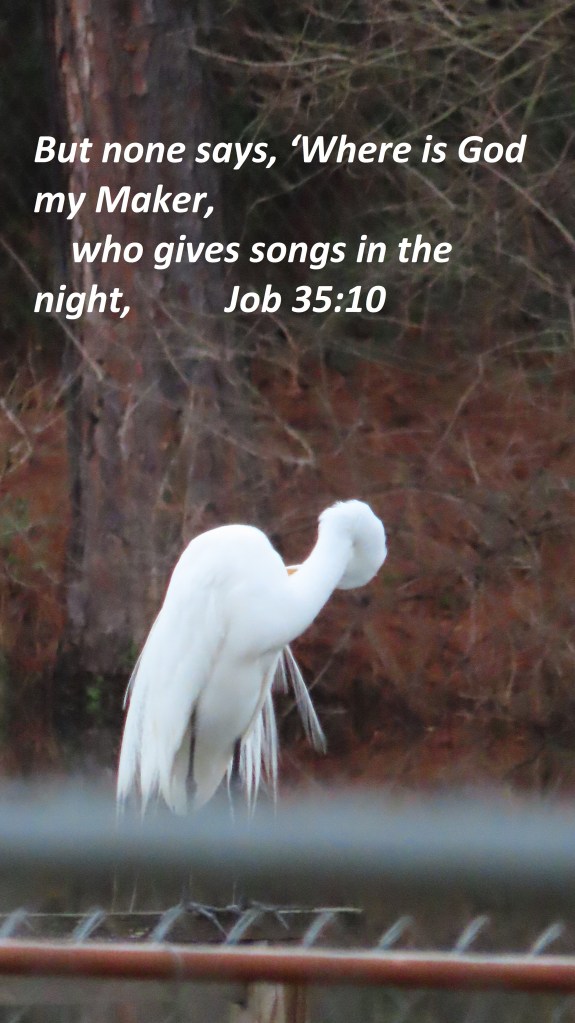 This image has an empty alt attribute; its file name is 1424f2fa-1ef4-48a5-94b3-f9ed756fadf0