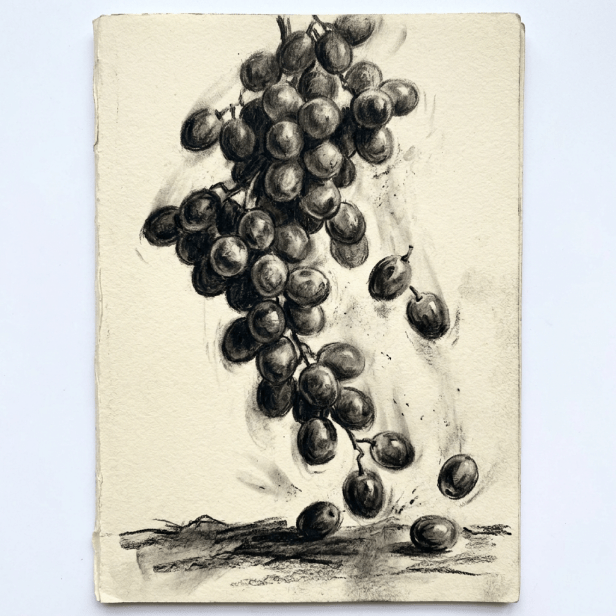 Charcoal sketch of a bunch of grapes falling and scattered on a surface